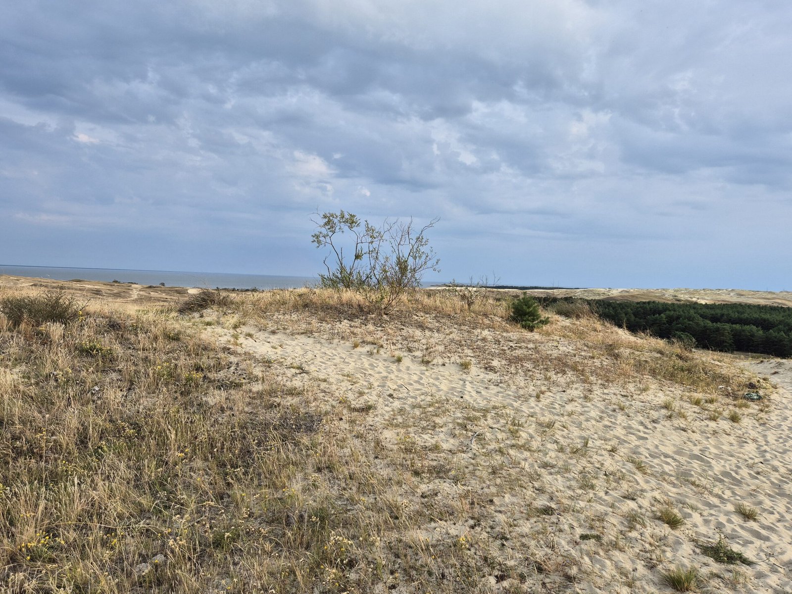Parnidžio kopų sūkurys