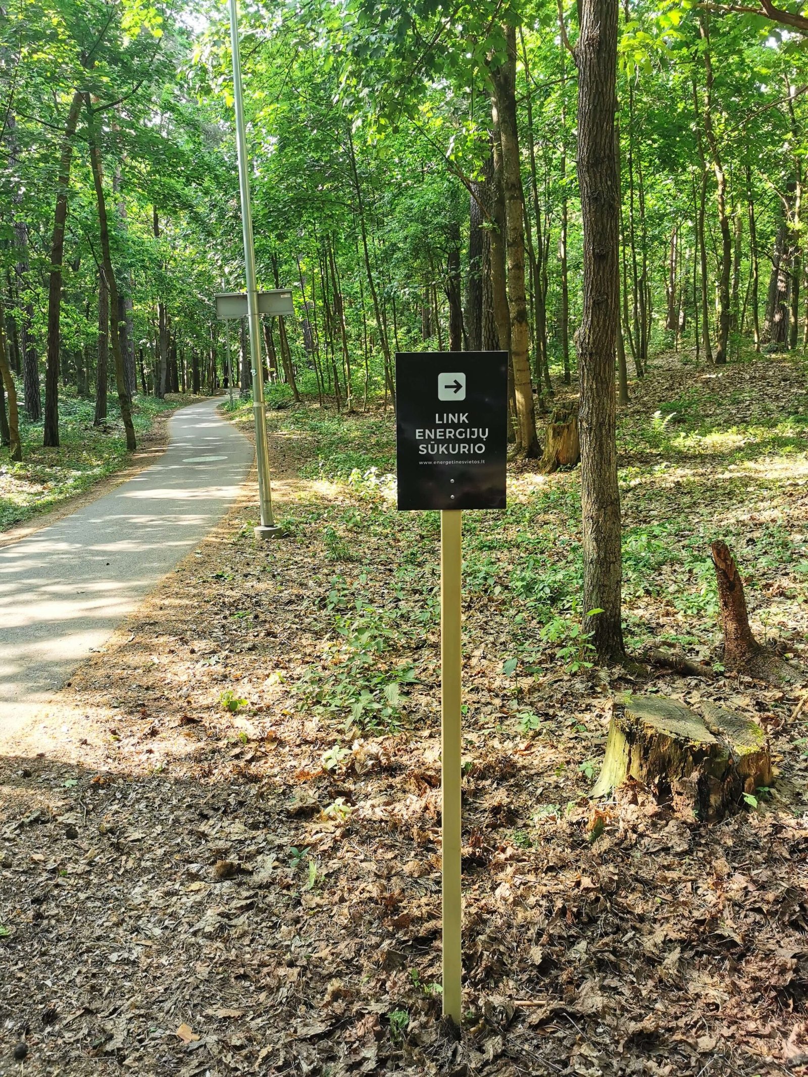 Panemunės šilas (01)